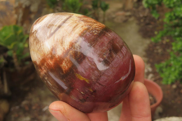 Polished Red Podocarpus Petrified Wood Eggs & Spheres x 4 From Madagascar