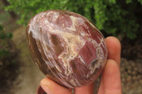 Polished Red Podocarpus Petrified Wood Eggs & Spheres x 4 From Madagascar