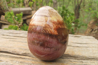 Polished Red Podocarpus Petrified Wood Eggs & Spheres x 4 From Madagascar