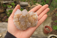 Natural Spirit Quartz Clusters x 6 From Boekenhouthoek, South Africa