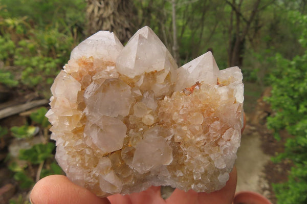 Natural Spirit Quartz Clusters x 6 From Boekenhouthoek, South Africa