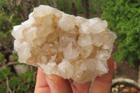 Natural Spirit Quartz Clusters x 6 From Boekenhouthoek, South Africa