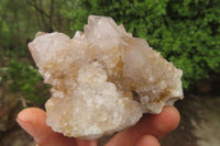 Natural Spirit Quartz Clusters x 6 From Boekenhouthoek, South Africa