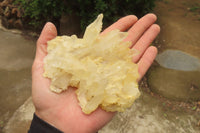 Natural Mixed Quartz Clusters x 24 From Madagascar