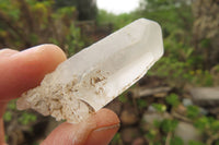 Natural Clear Quartz Crystals x 35 From Zambia