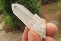 Natural Clear Quartz Crystals x 35 From Zambia