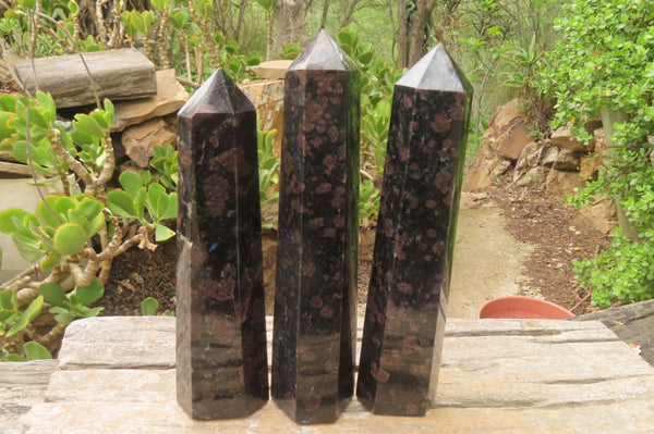 Polished Iolite Points x 3 From Ambatofinandrahana, Madagascar