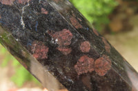 Polished Iolite Points x 3 From Ambatofinandrahana, Madagascar