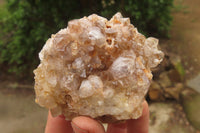 Natural Limonite Quartz Clusters x 4 From Zambia