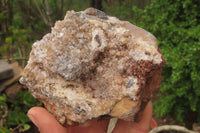 Natural Limonite Quartz Clusters x 4 From Zambia