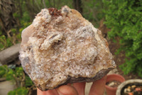 Natural Limonite Quartz Clusters x 4 From Zambia