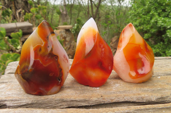 Polished Carnelian Flame Sculptures x 12 From Madagascar