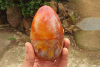 Polished Carnelian Standing Free Forms x 4 From Madagascar