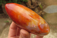 Polished Carnelian Standing Free Forms x 4 From Madagascar