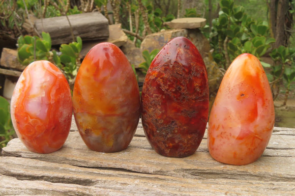 Polished Carnelian Standing Free Forms x 4 From Madagascar