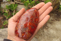 Polished Carnelian Standing Free Forms x 4 From Madagascar