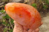 Polished Carnelian Standing Free Forms x 4 From Madagascar