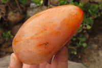 Polished Carnelian Standing Free Forms x 4 From Madagascar