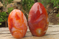 Polished Carnelian Standing Free Forms x 4 From Madagascar