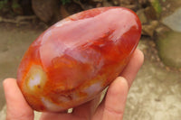 Polished Carnelian Standing Free Forms x 4 From Madagascar