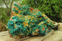 Natural Exquisite XL Dioptase with Mimetite On Dolomite Specimen x 1 From Congo