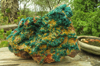 Natural Exquisite XL Dioptase with Mimetite On Dolomite Specimen x 1 From Congo