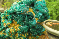 Natural Exquisite XL Dioptase with Mimetite On Dolomite Specimen x 1 From Congo