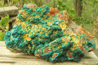 Natural Exquisite XL Dioptase with Mimetite On Dolomite Specimen x 1 From Congo