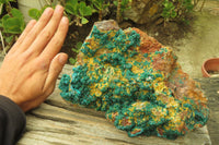 Natural Exquisite XL Dioptase with Mimetite On Dolomite Specimen x 1 From Congo