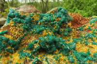 Natural Exquisite XL Dioptase with Mimetite On Dolomite Specimen x 1 From Congo