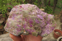 Natural Stichtite Cobbed Specimens x 6 From Barberton, South Africa