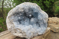 Natural Celestite Geode Specimen x 1 From Sakoany, Madagascar