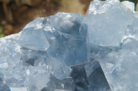 Natural Celestite Geode Specimen x 1 From Sakoany, Madagascar