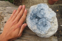 Natural Celestite Geode Specimen x 1 From Sakoany, Madagascar