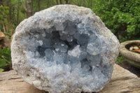 Natural Celestite Geode Specimen x 1 From Sakoany, Madagascar