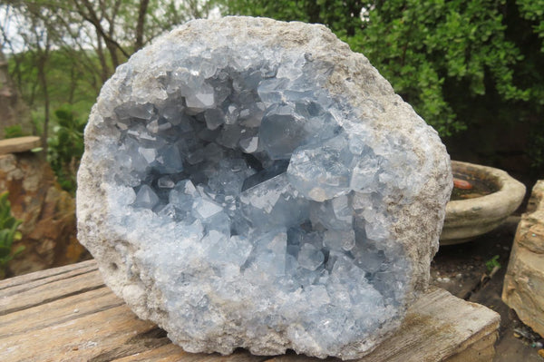 Natural Celestite Geode Specimen x 1 From Sakoany, Madagascar