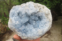 Natural Celestite Geode Specimen x 1 From Sakoany, Madagascar