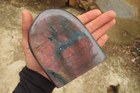 Polished Labradorite Standing Free Forms x 2 From Tulear, Madagascar