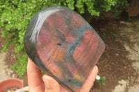 Polished Labradorite Standing Free Forms x 2 From Tulear, Madagascar