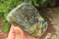 Polished Labradorite Standing Free Forms x 2 From Tulear, Madagascar