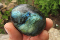 Polished Labradorite Palm Stones x 12 From Tulear, Madagascar