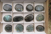 Polished Labradorite Palm Stones x 12 From Tulear, Madagascar