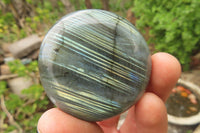 Polished Labradorite Palm Stones x 12 From Tulear, Madagascar