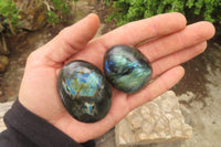 Polished Labradorite Palm Stones x 12 From Tulear, Madagascar