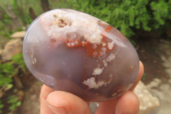 Polished Flower Agate Palm Stones x 12 From Madagascar