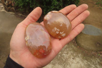 Polished Flower Agate Palm Stones x 12 From Madagascar