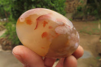 Polished Flower Agate Palm Stones x 12 From Madagascar