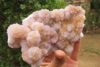 Natural Ametrine Spirit Quartz Clusters x 2 From Boekenhouthoek, South Africa