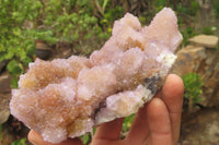 Natural Ametrine Spirit Quartz Clusters x 2 From Boekenhouthoek, South Africa