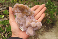 Natural Ametrine Spirit Quartz Clusters x 2 From Boekenhouthoek, South Africa